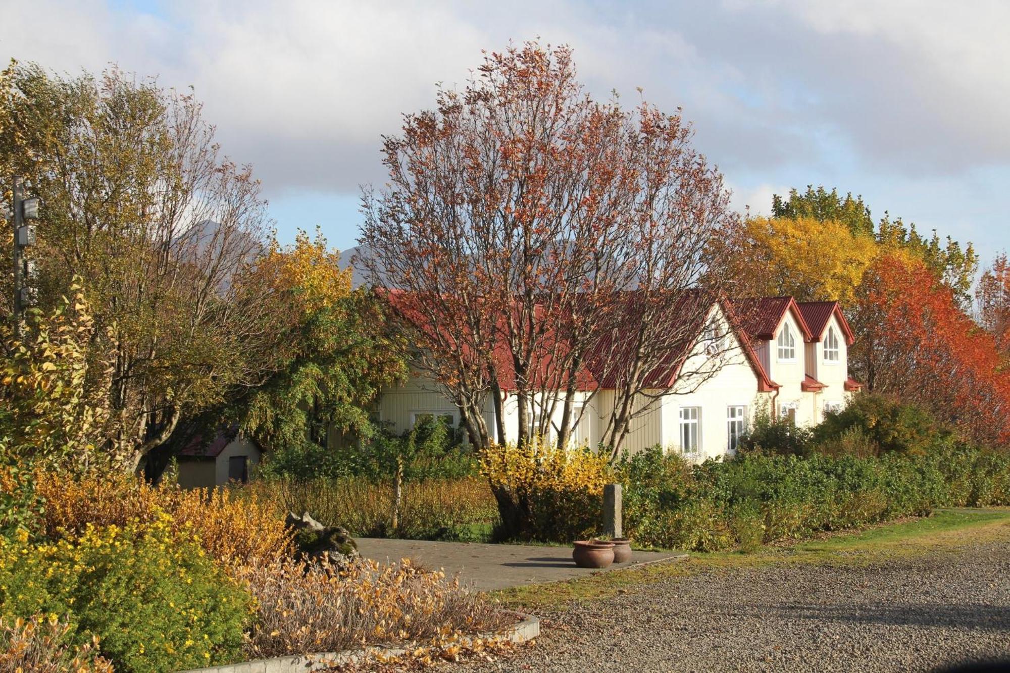 Hotel Lava Water - Miðhraun Midhraun Exterior foto